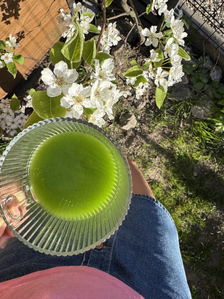 Obrazek #60 od Ula R.